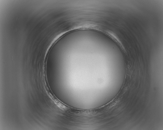 X0000060790948200511101031