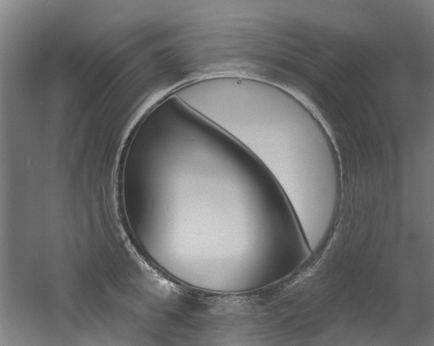 X0000060790949200511101031