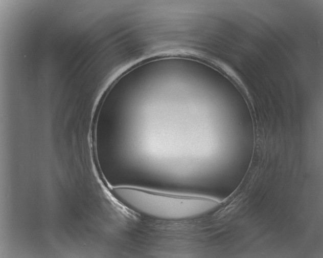 X0000060790951200511101031