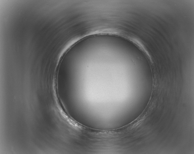 X0000060790952200511101031