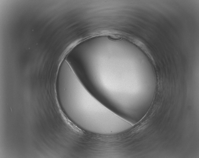 X0000060790954200511101031