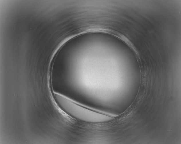 X0000060790955200511101031