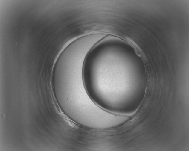 X0000060790956200511101031