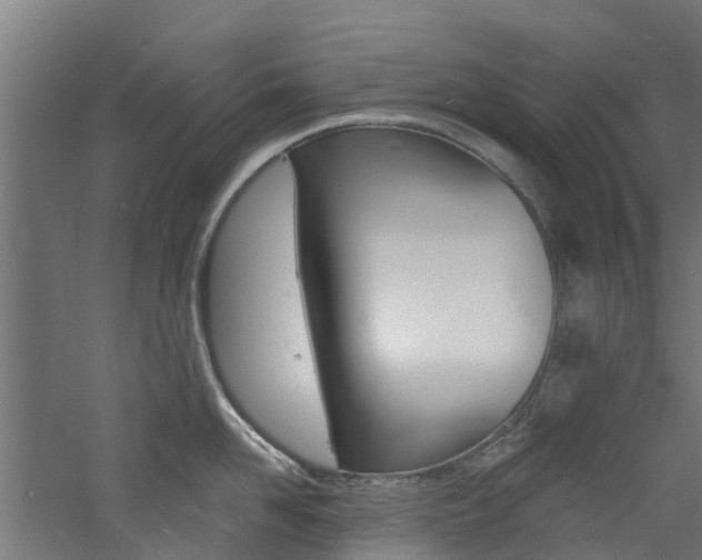 X0000060790958200511101031