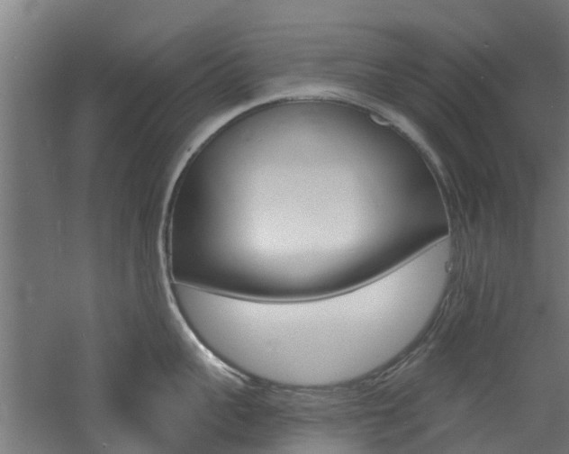 X0000060790959200511101031