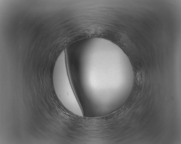 X0000060790963200511101030