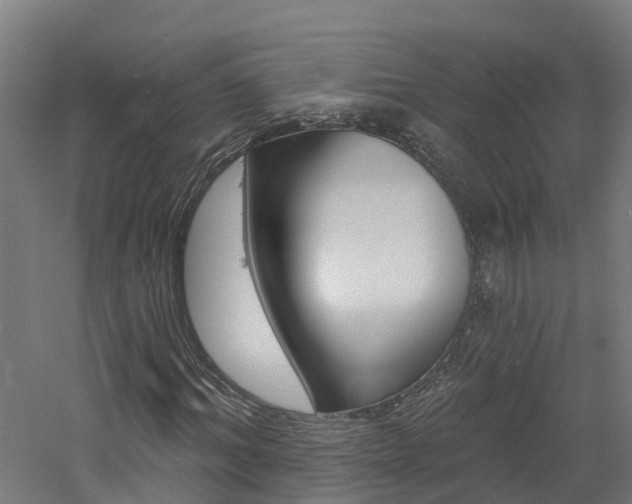 X0000060790964200511101030