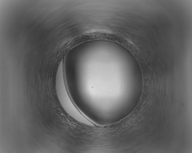 X0000060790965200511101030