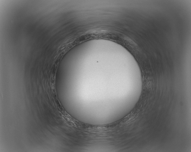 X0000060790966200511101030