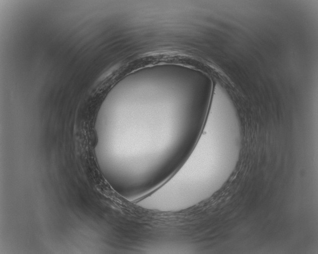 X0000060790967200511101030