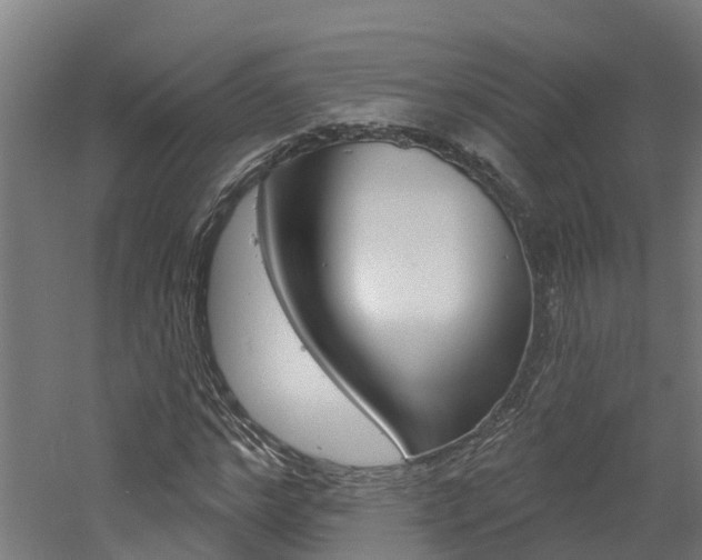 X0000060790968200511101030