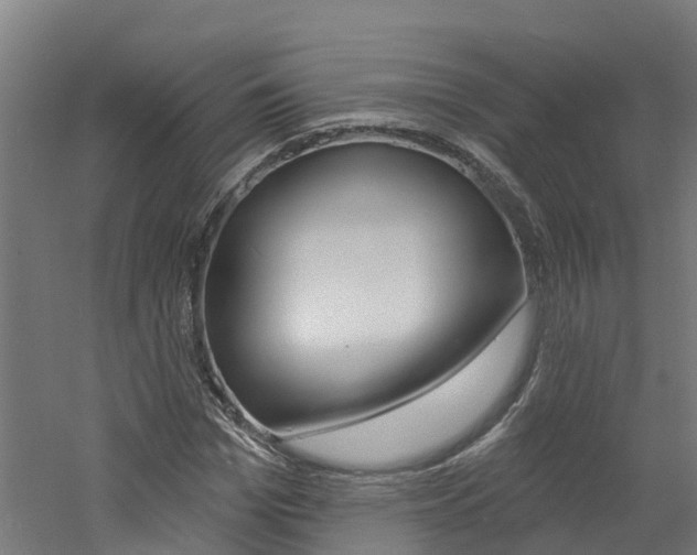 X0000060790969200511101030