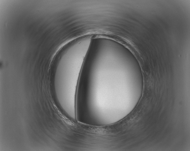 X0000060790971200511101030