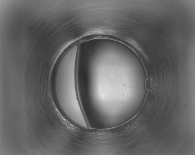 X0000060790972200511101030