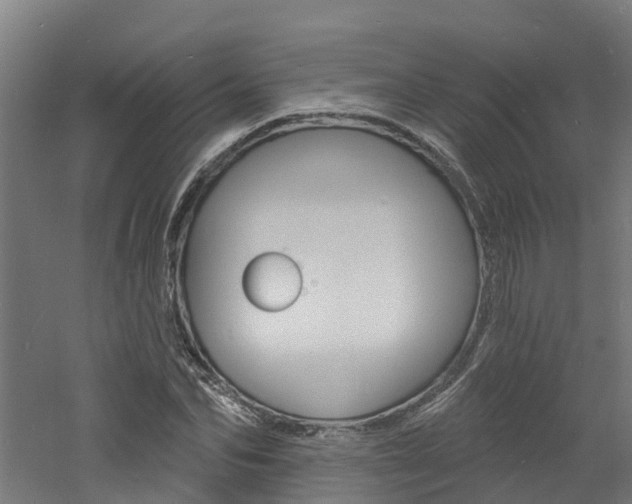 X0000060790974200511101030