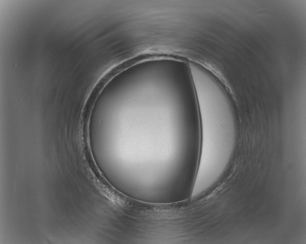 X0000060790976200511101030