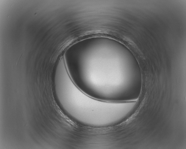 X0000060790977200511101030