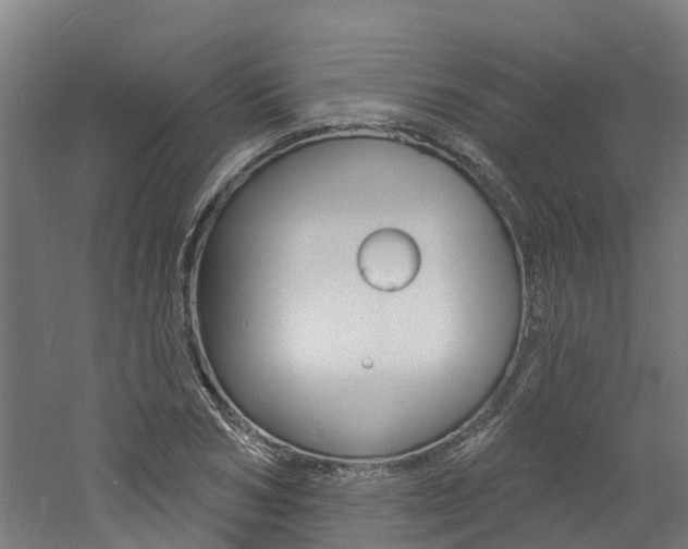 X0000060790978200511101030