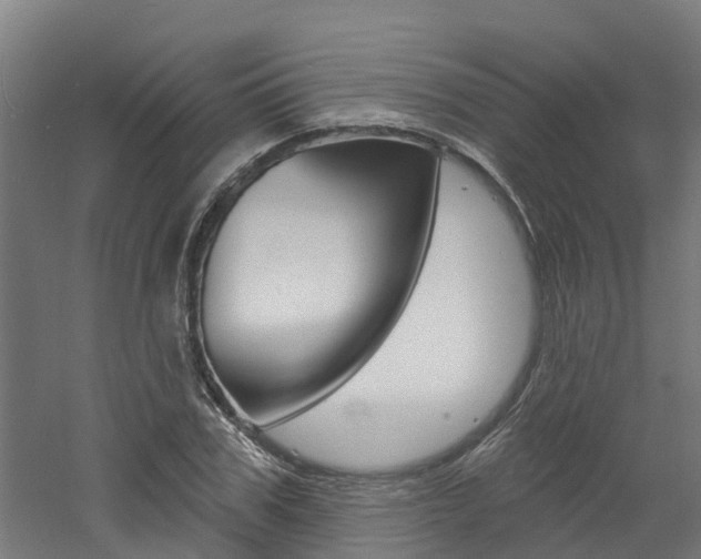 X0000060790979200511101030