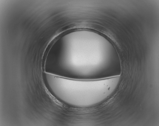 X0000060790980200511101030