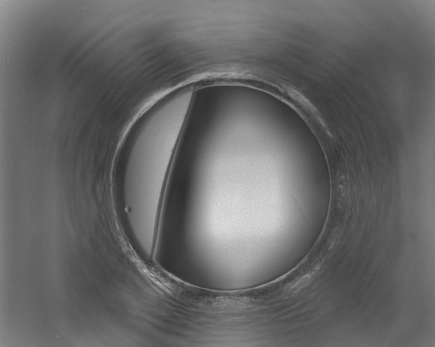 X0000060790981200511101030