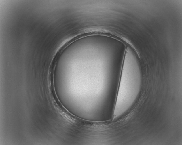 X0000060790983200511101030