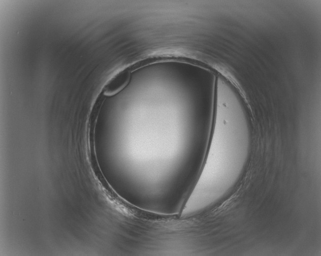 X0000060790984200511101030