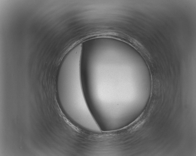 X0000060790985200511101030