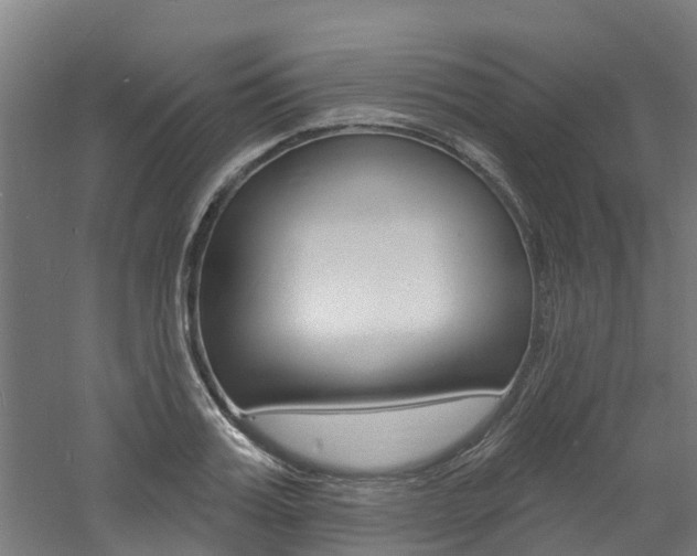 X0000060790987200511101029