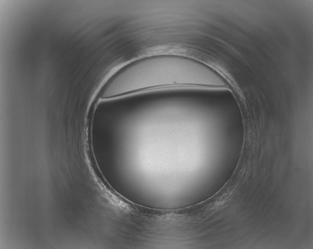 X0000060790992200511101029