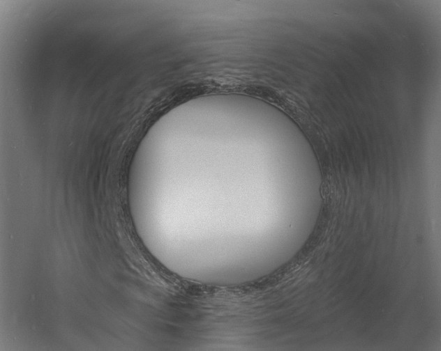 X0000060791009200511101028