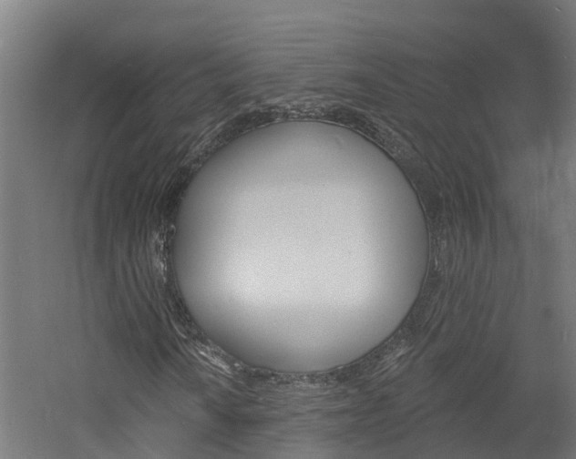 X0000060791010200511101028