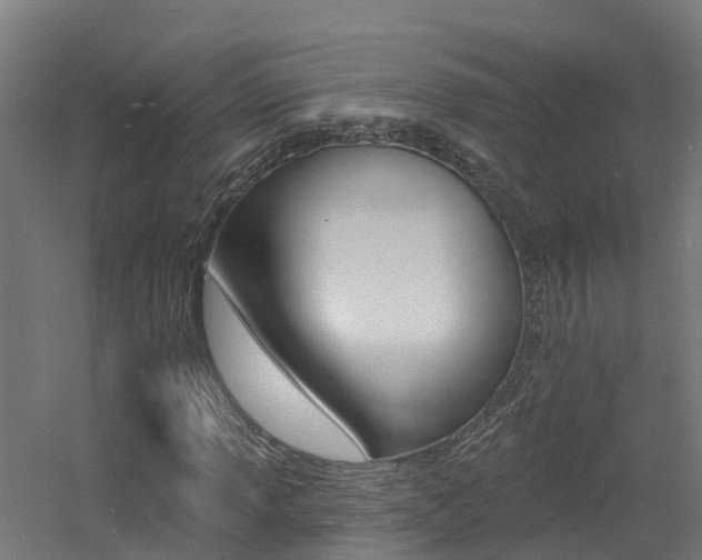 X0000060791013200511101028