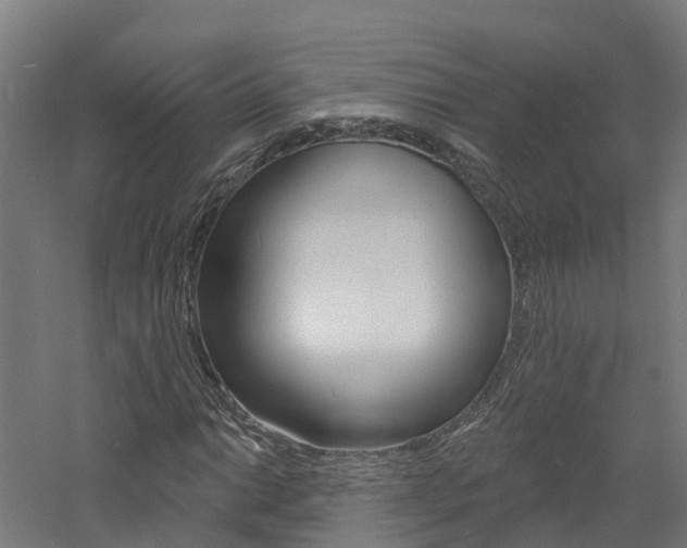 X0000060791014200511101028
