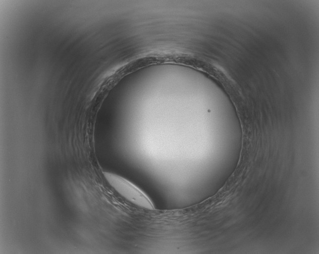 X0000060791016200511101028