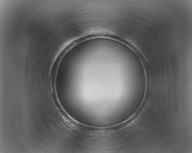 X0000060791022200511101029