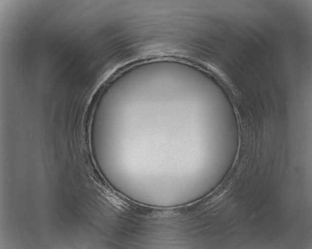 X0000060791023200511101029