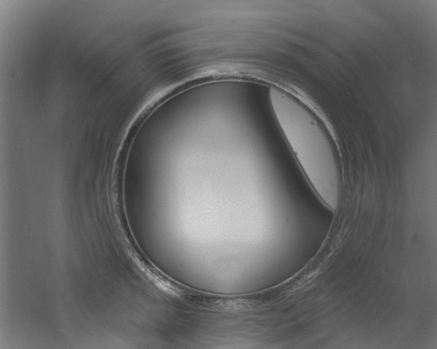 X0000060791045200511101029