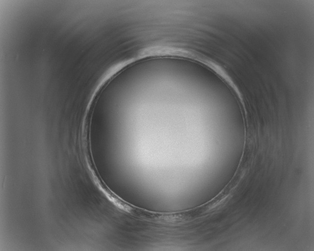 X0000060791053200511101029