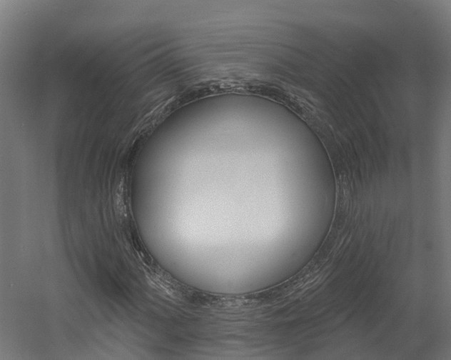 X0000060791060200511101028