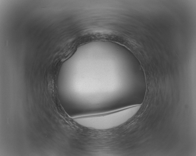 X0000060791061200511101028