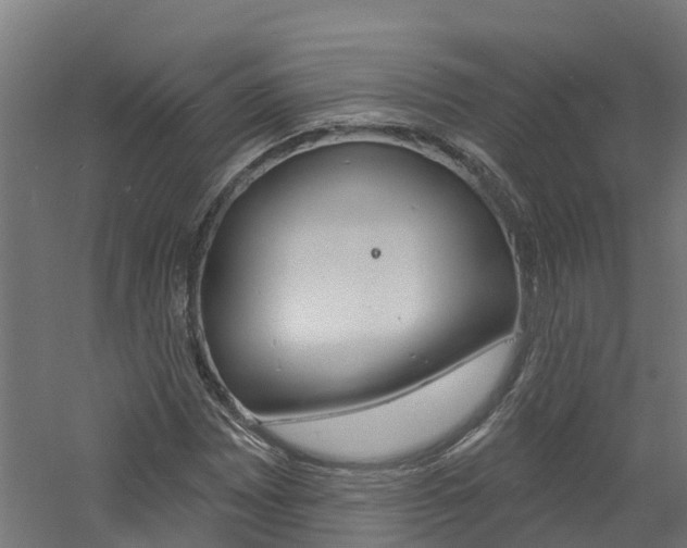 X0000060791065200511101028