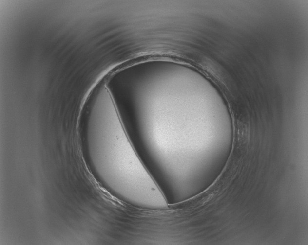 X0000060791068200511101028