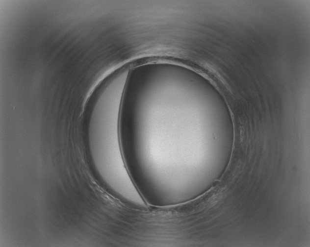 X0000060791069200511101028