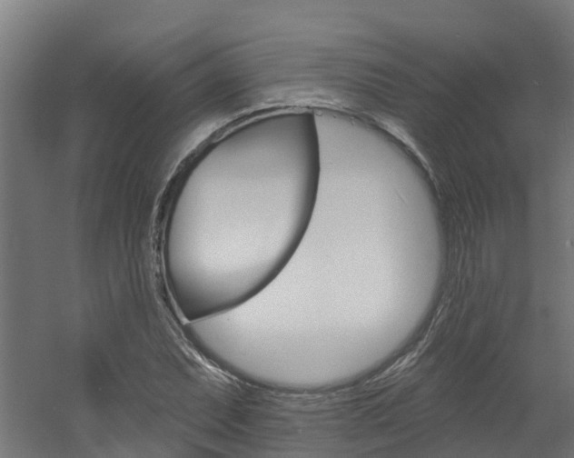 X0000060791071200511101028