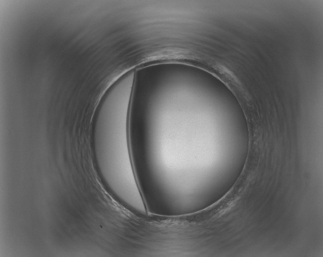 X0000060791081200511101028