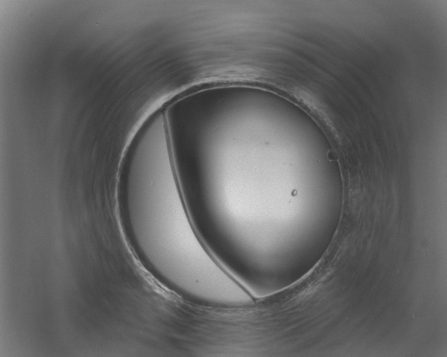 X0000060791085200511101028