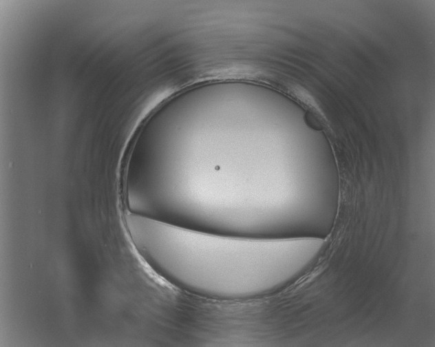 X0000060791087200511101028