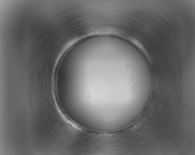 X0000060791088200511101028