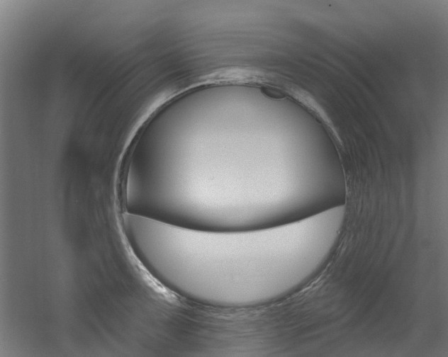 X0000060791091200511101028